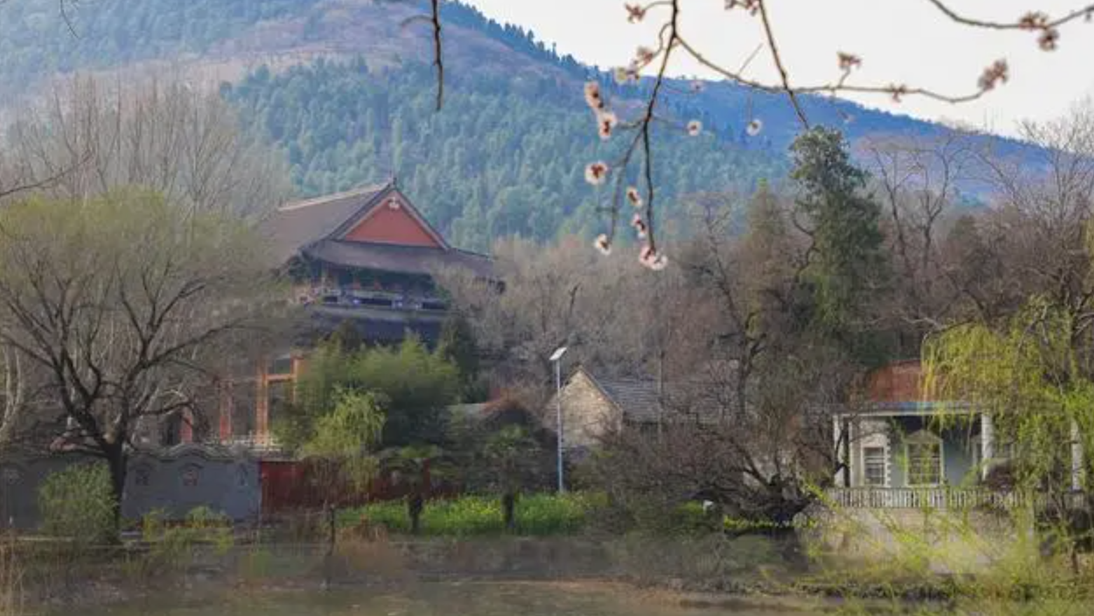 宿州|宿州美景多，来到这里，让你流连忘返