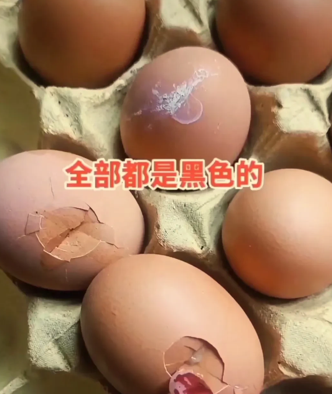 河南南阳,宛城区一女子遇到一件糟心事