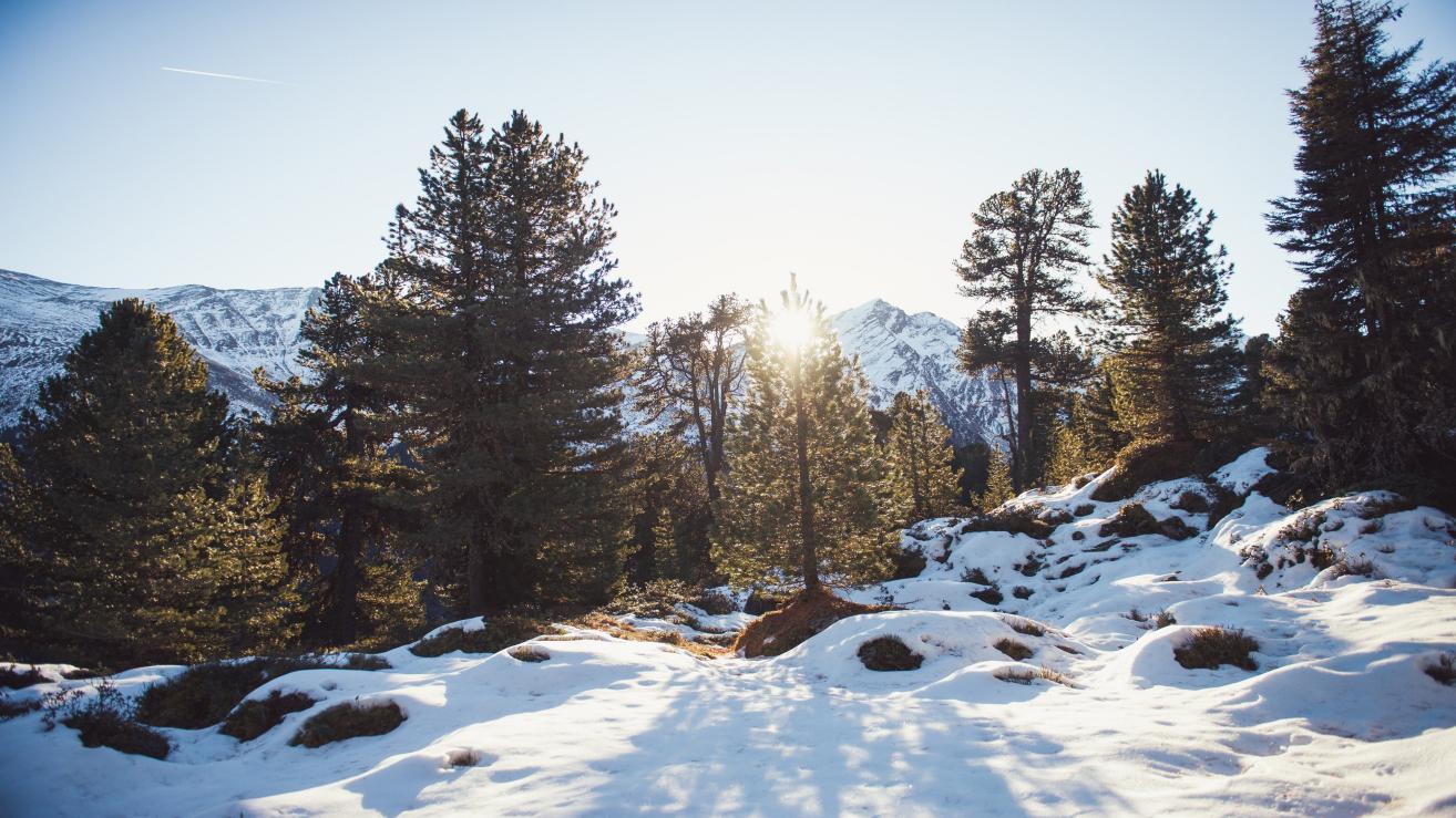 退休|人与人之间的关系,有时候看似简单,其实对人的内心世界影响巨大