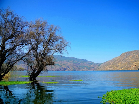 茈碧湖|茈碧湖，被称作“洱海之源”，可以用眼睛打卡的风景大片