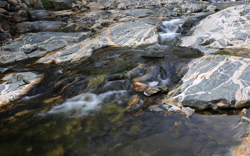 处女座|7月这些星座,风里雨里,都等着你