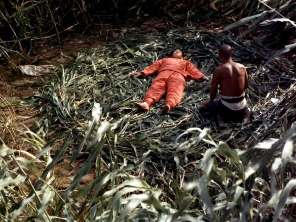 电视剧|《红高粱》中的周迅,展现了自己的魅力,让这部电视剧获得成功