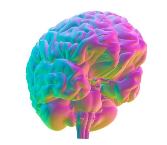 你认为先天失明的人可以看见世界吗?先天只发育出一半大脑的人可以正常生活吗?