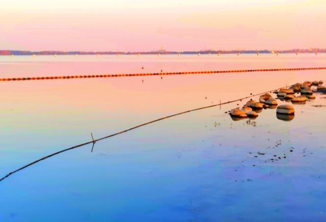 |上海苏州交界处藏着一个湖,适合遛娃拍照赏秋,免费却少有人知