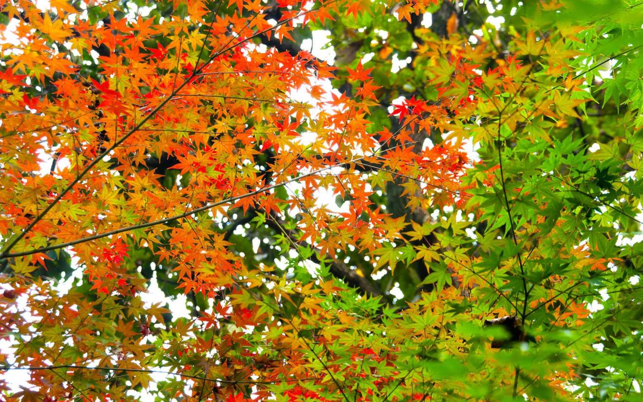 |职场人遇到困难,有三种应对模式,选择对的人,可以少走弯路