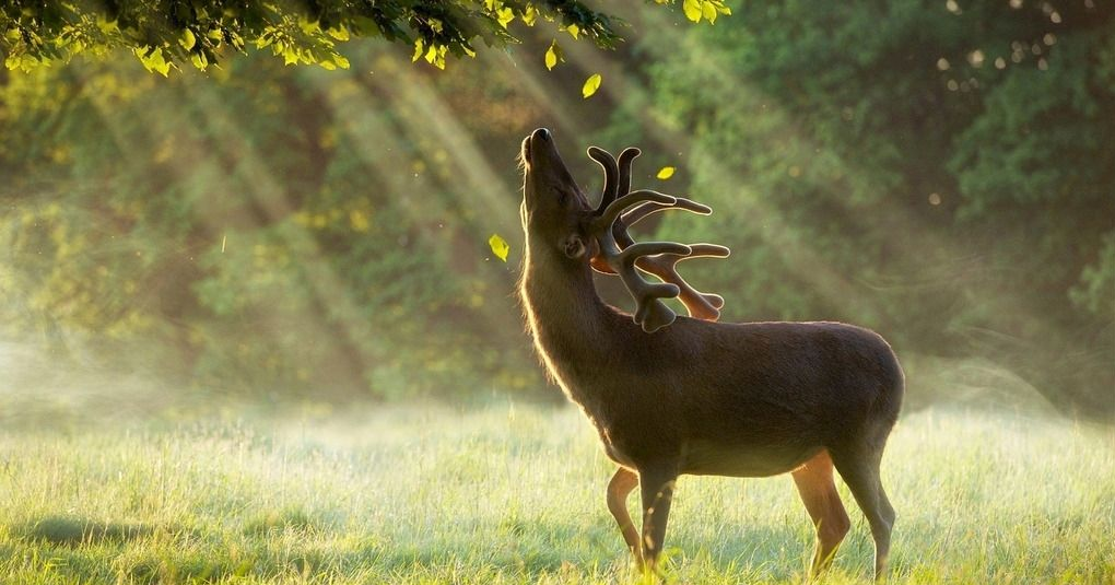 求职|本科毕业4个月换了4份工作，她问题出在了哪儿？