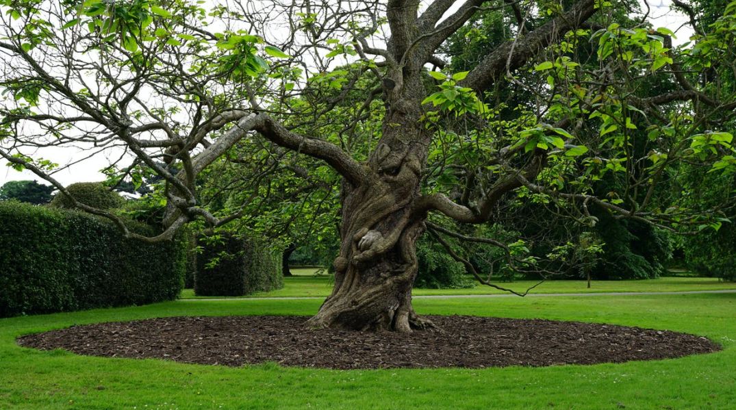 双子座|下半年有职场桃花，这三个星座可修成正果