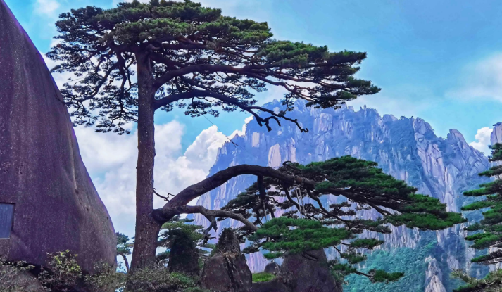 杭州|杭州作为旅游城市的缺陷十分明显，地铁没有网状化，公交发达