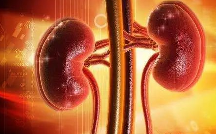 大蒜|再三忠告:身体2处“发痒”,别误以为过敏,或是肾衰“造访”,需警惕