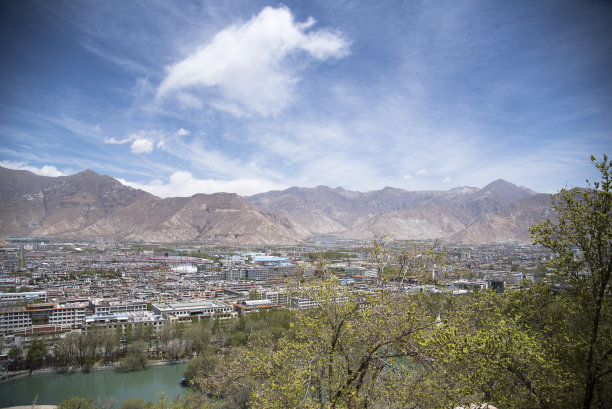 荷花|世界上纬度最低的地方，每年冬天都是游玩的一大旺季
