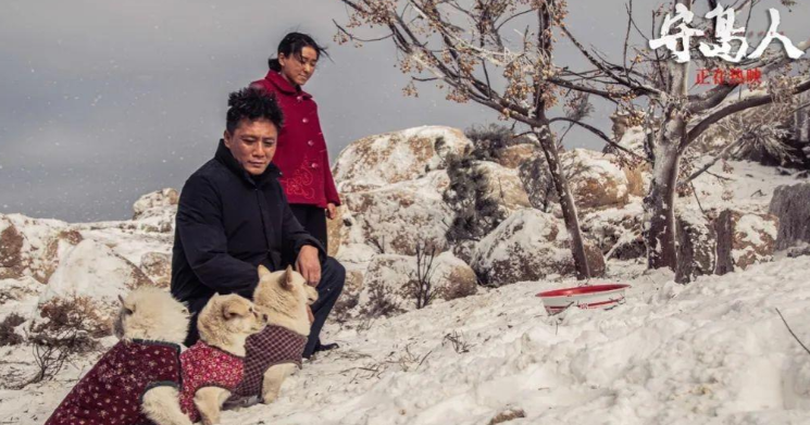 影视解说|影评《守岛人》:把普通的日子过成了诗,属于温暖的电影