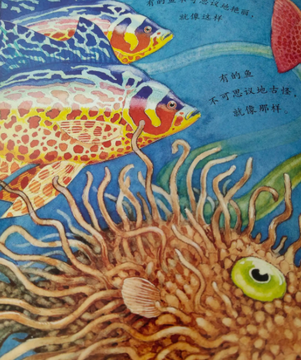 烫脚鸡魔性舞蹈找对象,射水鱼物理学的比人好,猩猩上演权力游戏