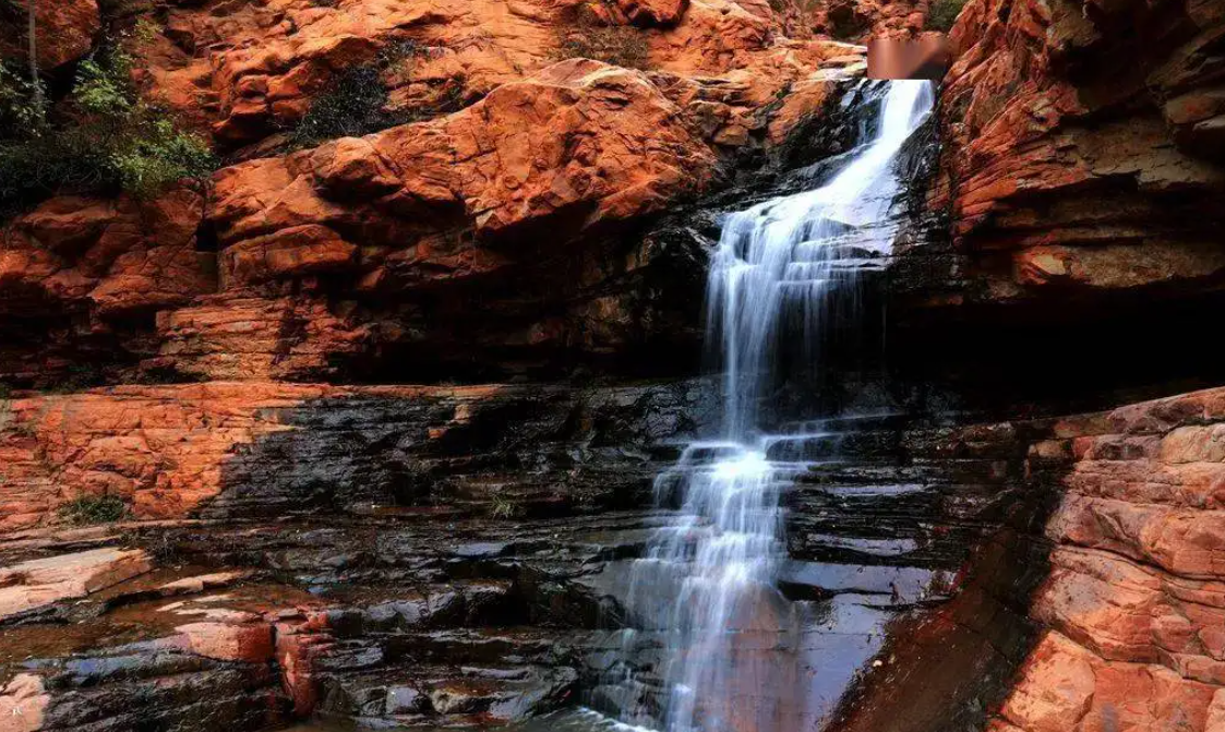 玫瑰|新密好玩的地方多,跟小编一起来逛一逛吧