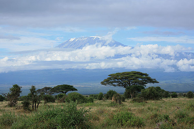 乞力马扎罗|世界上最高的山--乞力马扎罗山到底有多高