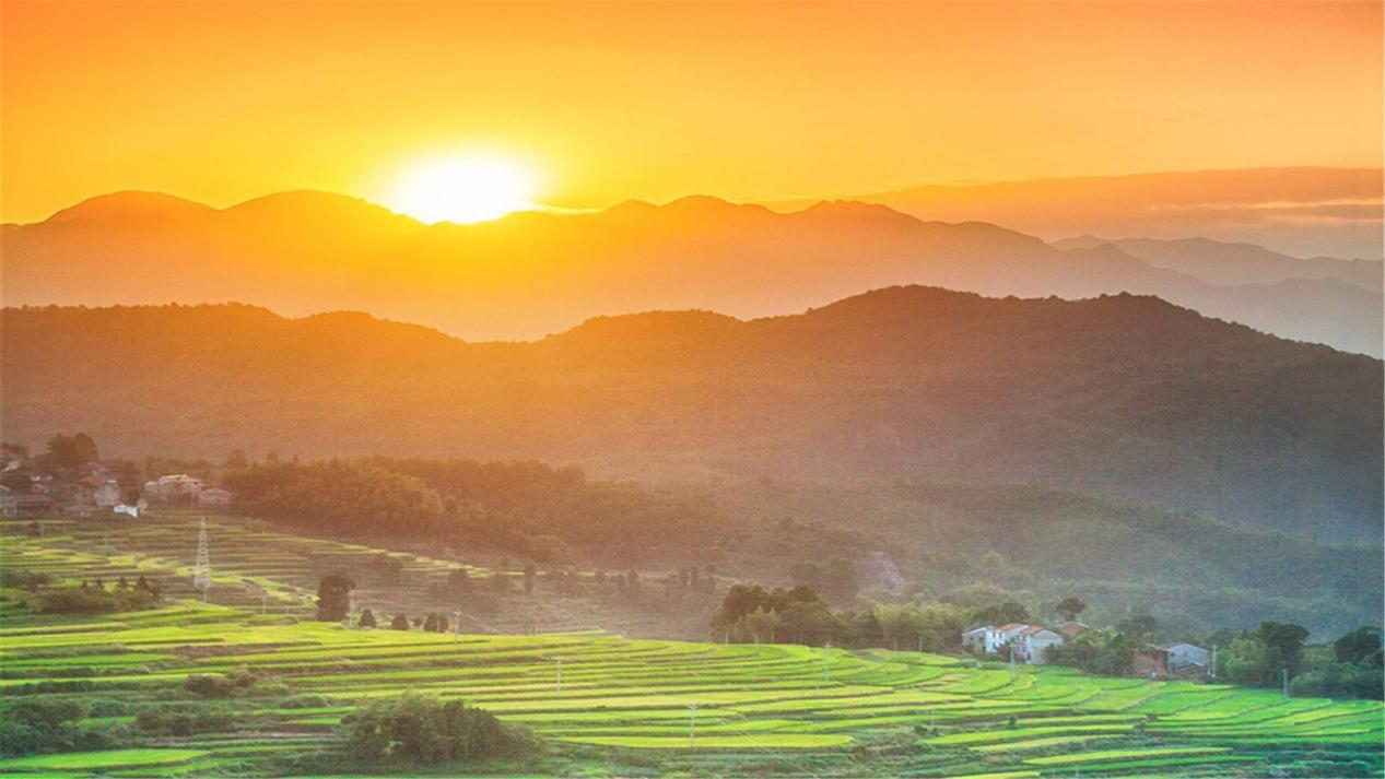 |职场上，到底该如何提升自己？你需要找对方向！