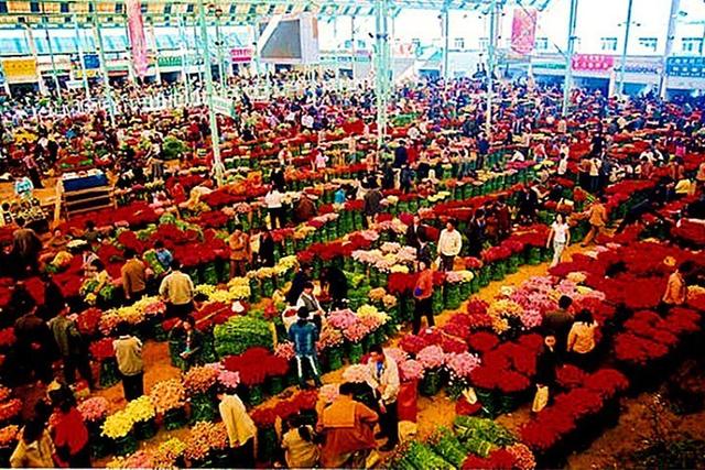 岘港|“云境十六州”之“春城”