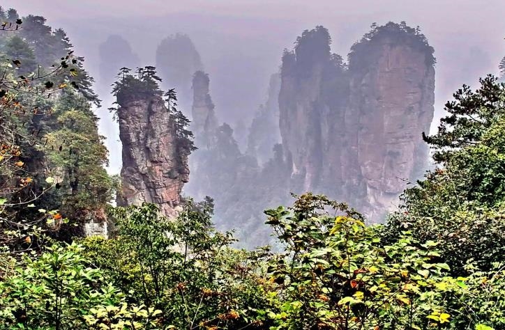 张家界|去张家界玩不要报旅游团,也不用请导游,多看地图