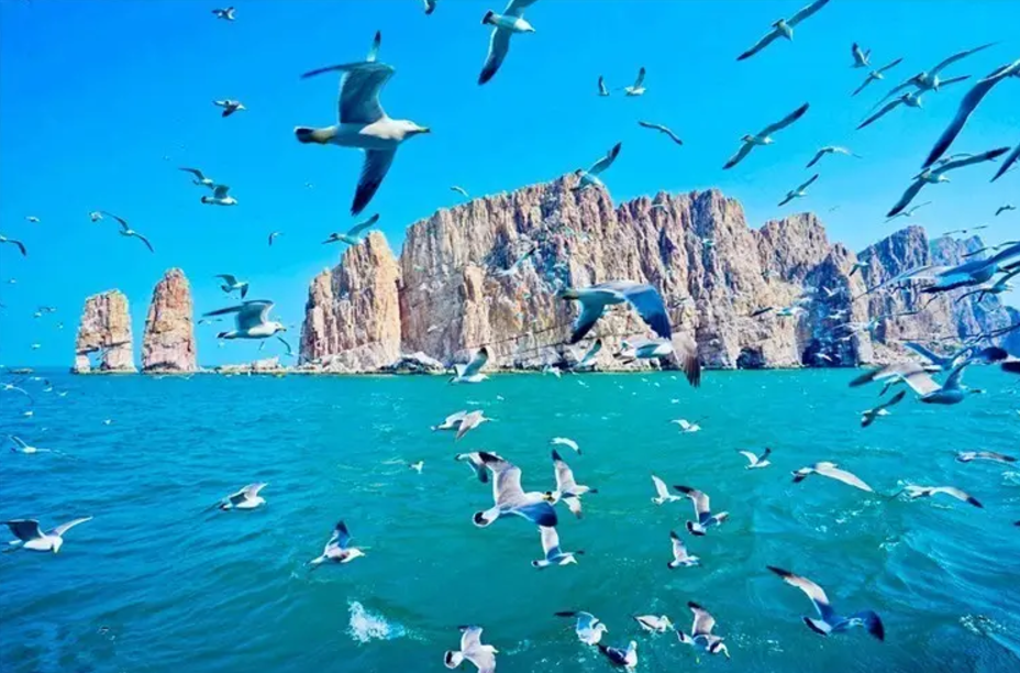 烟台|这里物产丰富，景色也迷人，欢迎你来到烟台。