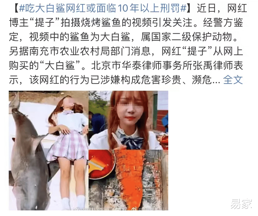 她连夜被封杀,要坐牢了?