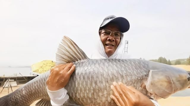 日军|王者之战:老钓王为何退居幕后?化绍新:70岁了还让我去参赛