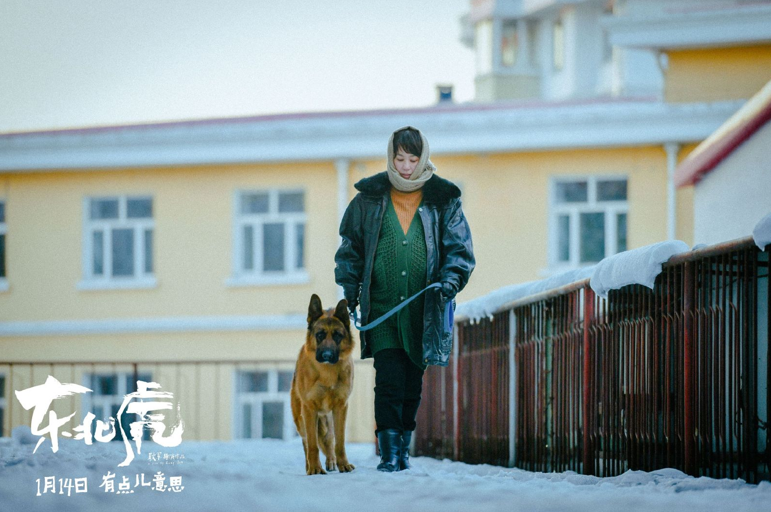 马丽|《东北虎》日票房36万，马丽第8次找老搭档拍新片，和沈腾打擂台