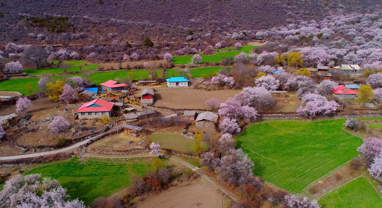 莫干山|波密，一座充满西藏魅力的城市，用靓丽的风景牵绊着游客们的心