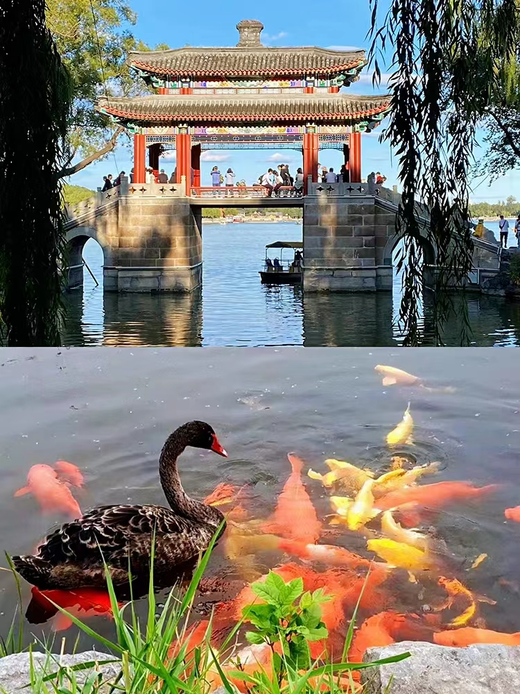 圆明园|醉美北京∣看看颐和园的景，吹吹圆明园的风