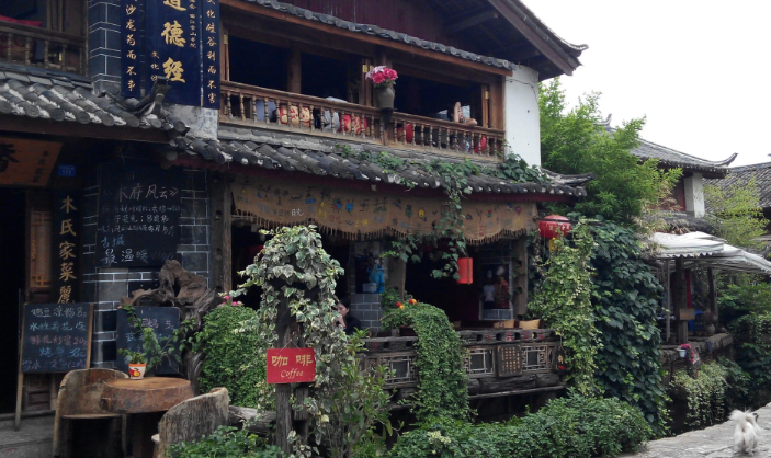 大理古城|去过大理，大理境内苍山没去，只去过沙溪大理古城洱海沿线和巍山