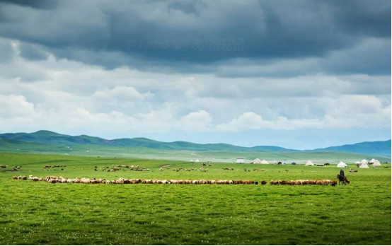 草原|昭苏草原是我国著名的草原,以铺天盖地的金黄油菜花,而闻名于世