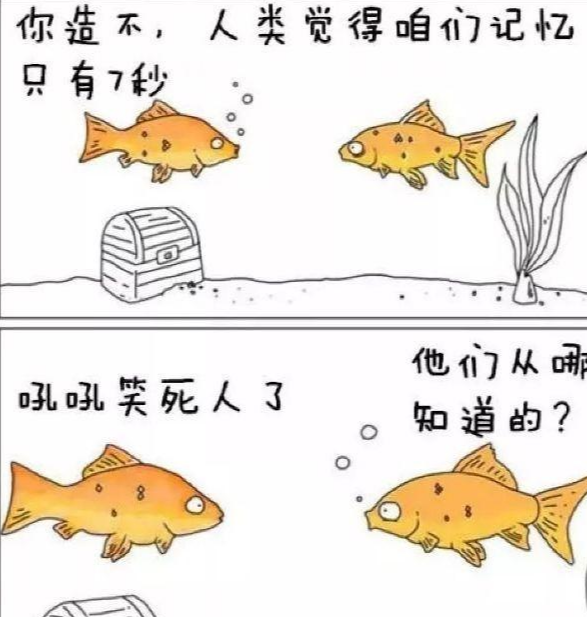 为什么说鱼的记忆只有7秒?鱼需要睡觉吗?科学家给出了答案