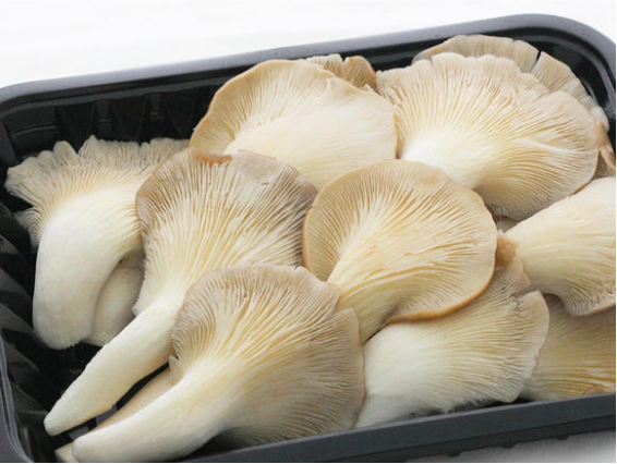 甲状腺|吃一口等于吃10个钢丝球,提醒:还吃这3物?甲状腺迟早毁在嘴上