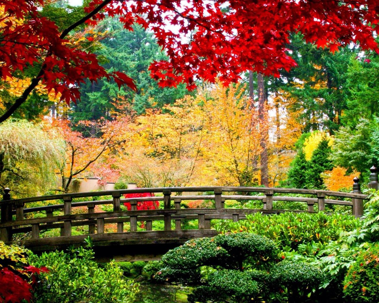 |成功的职场人必须具备的三个基本素质