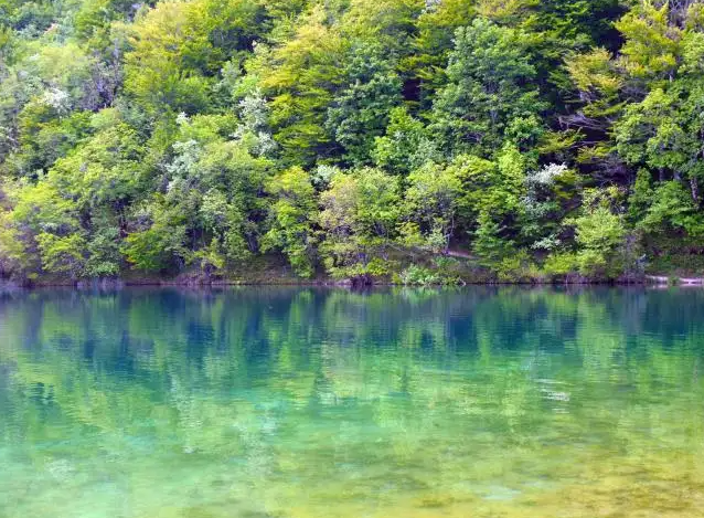 |实现理想,要学会变通