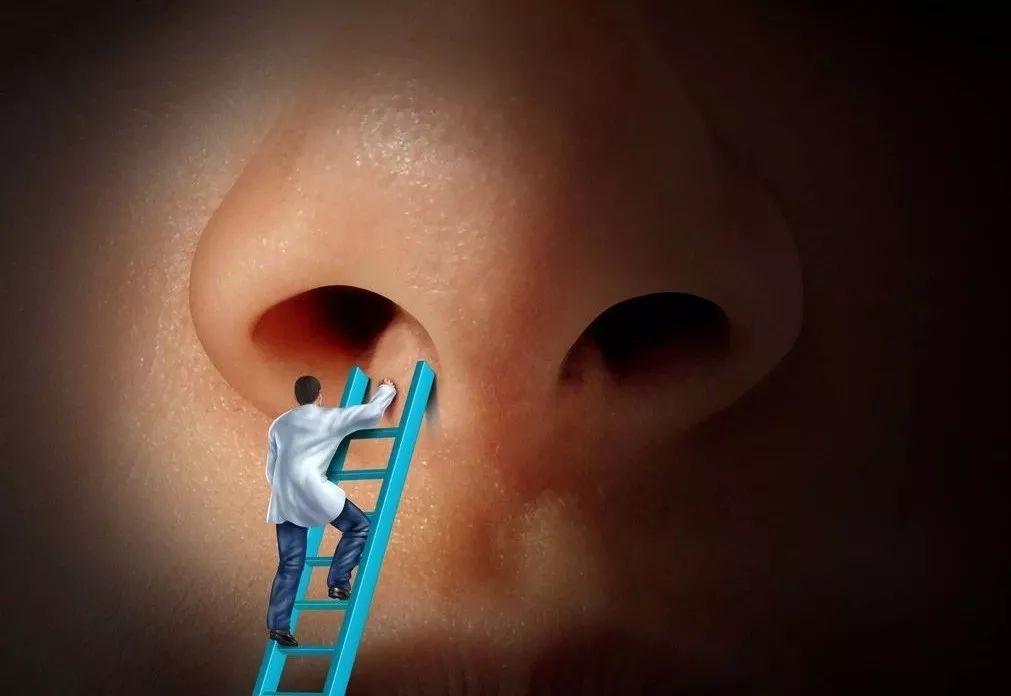 科学家发现人类的鼻腔中有着一个超级精细的微腔