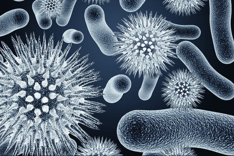 鸡蛋|浙大研究:每天多吃一个蛋,心脏病和癌症死亡风险或升高?可信吗