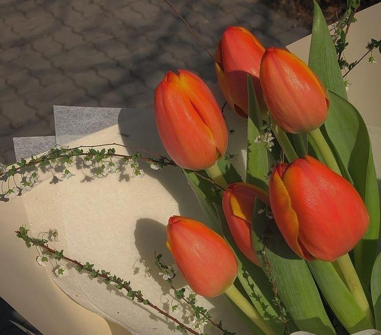 财富管理|同事之间的人际关系,往往比亲人之间的关系更加复杂