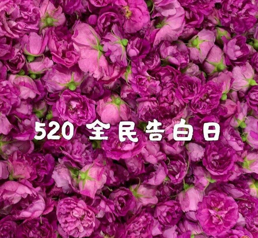 张九南|德云社再曝出轨!张九南又管不住裤裆,每天换女友