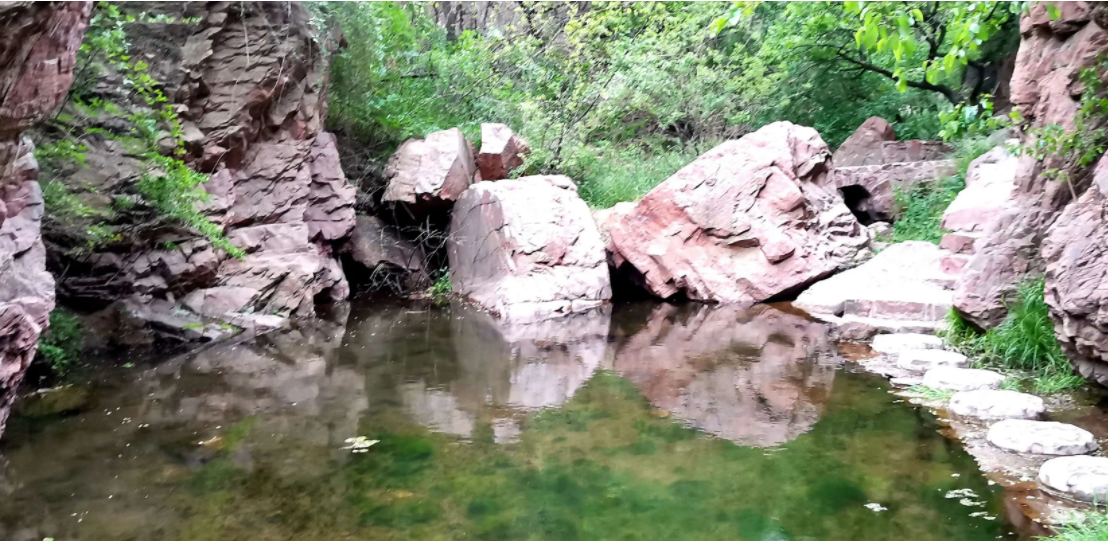 玫瑰|新密好玩的地方多,跟小编一起来逛一逛吧