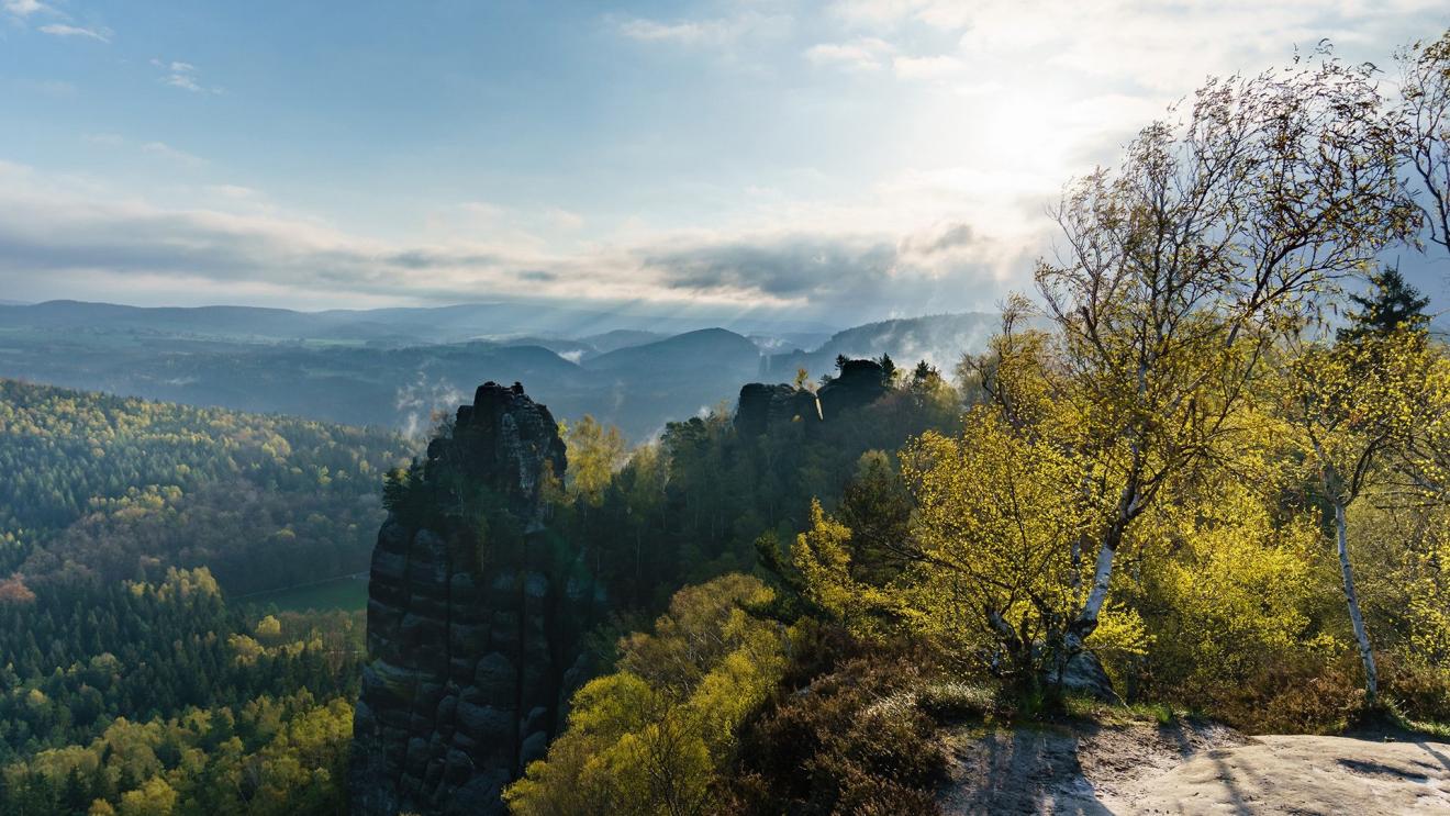 |职场上领导喜欢的几种人,工作狂认为,世界上没有完美,只有最优