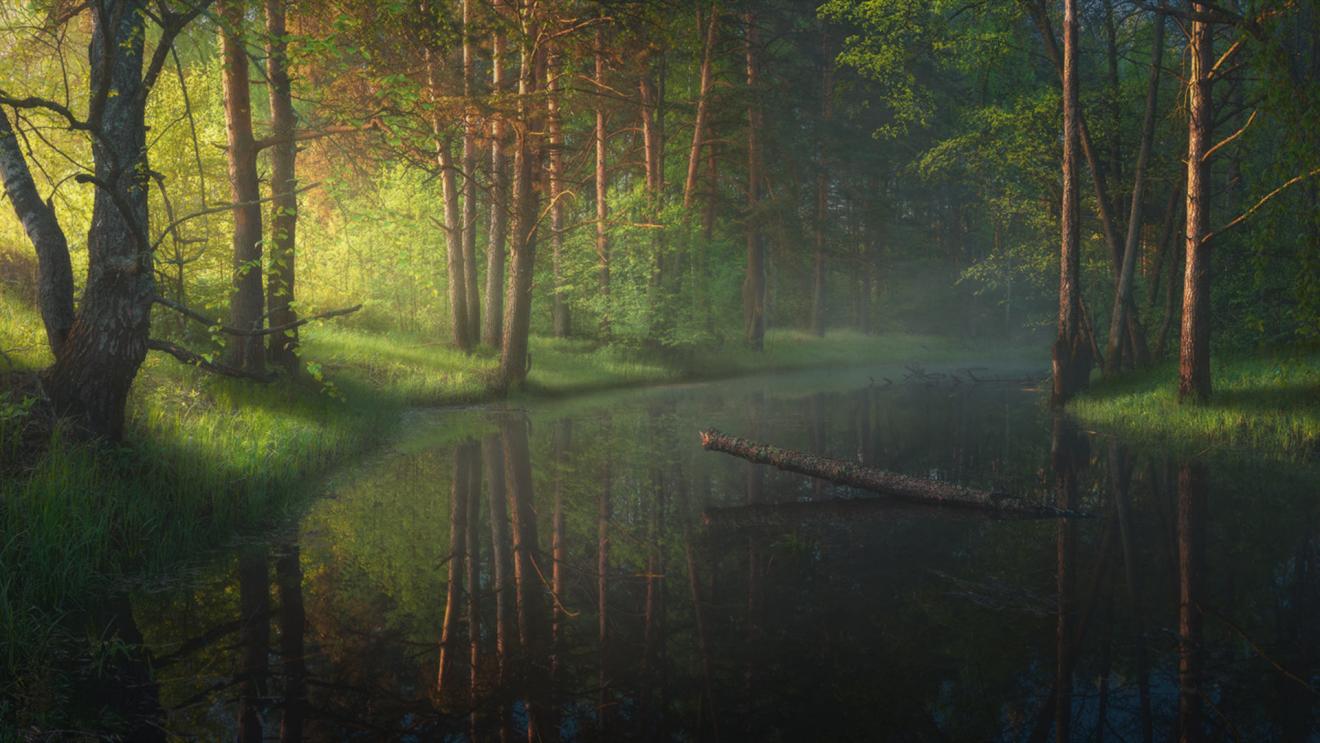 |职场上,想要做到这四点,必须拥有强烈的自尊心