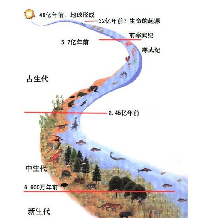 四个方面的证据,证明人类好像是被困住的“囚徒”,我们太孤单了