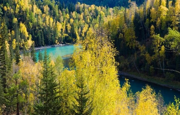 贵州|新疆太大,开车没有意义,去福海和喀纳斯那一带转转