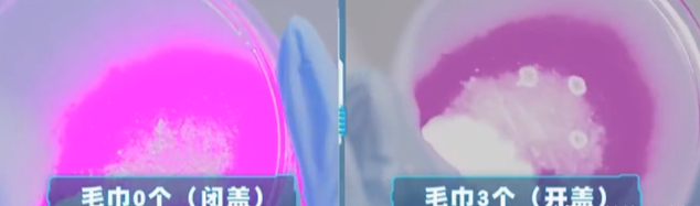 冲马桶一定要盖马桶盖!实验告诉你,冲马桶不盖马桶盖风险有多大