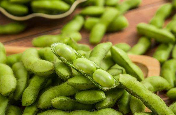 母其弥雅 减肥期间嘴馋怎么办?