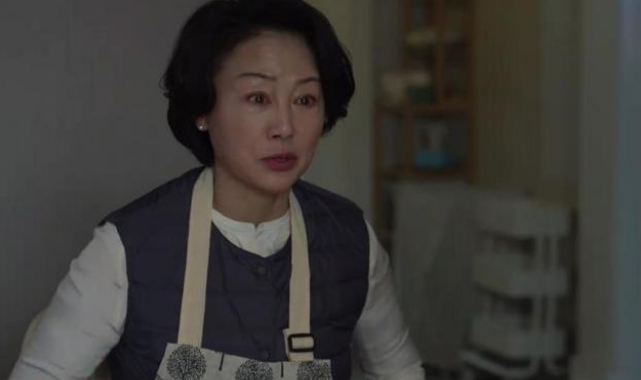 宋嘉辰|《玫瑰之战》中宋嘉辰的母亲,也随着故事的进展,暴露出了其虚伪的面孔