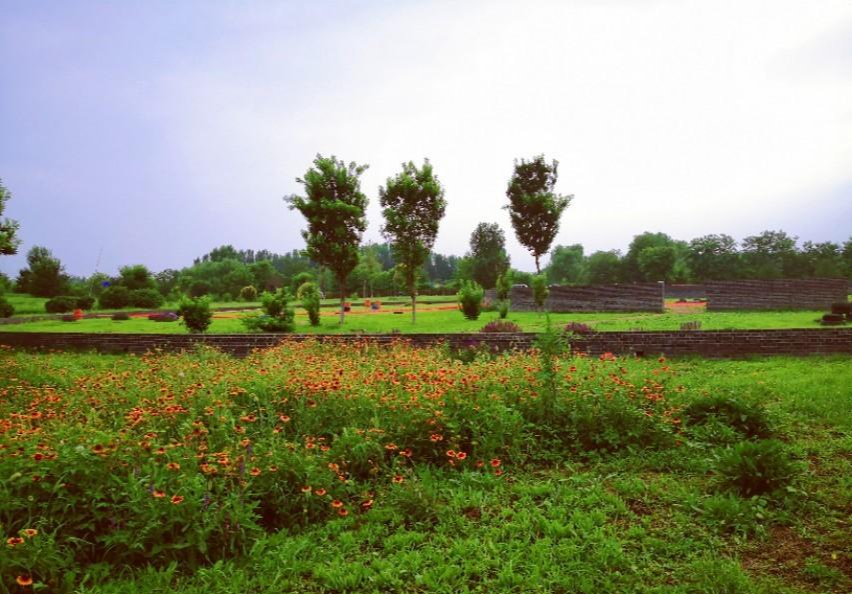 张家界|京郊休闲遛娃好去处,国内最大的葡萄主题公园,还有荷花,芦苇荡