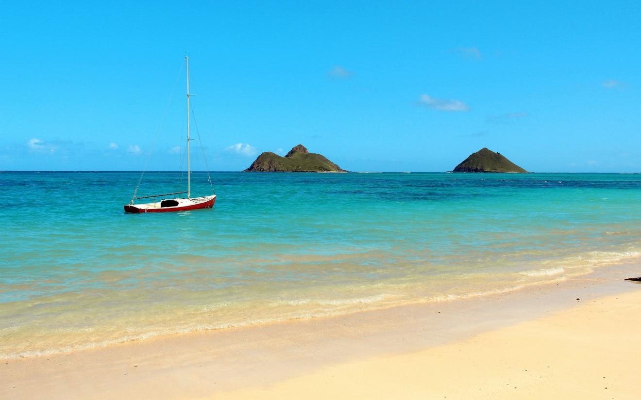 道德绑架|你怎么看待工作?