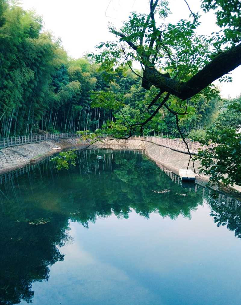 自治区|童话的城市,四季如诗如画,快来看看吧