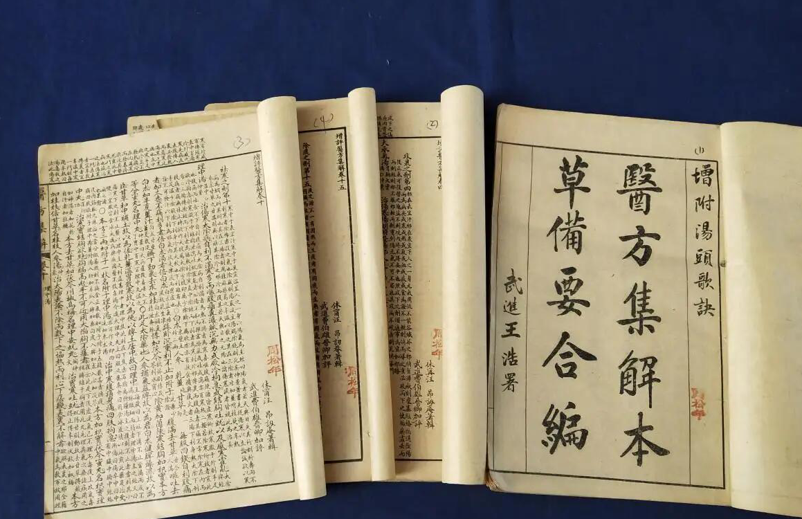 中药|经常有人问我,什么食物温和又祛湿?那我肯定说“白扁豆”