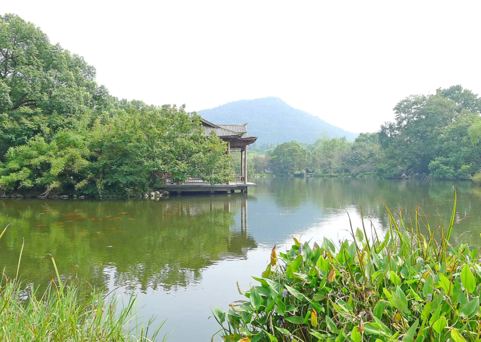 |东湖风景不错,但没有西湖那么多曲折,更重要的是缺少人文气息